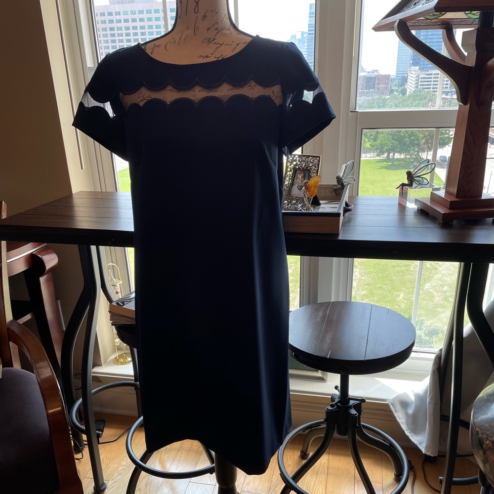 💙Gorgeous Adrianna Papell Navy Dress💙